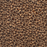 Bild på Fleece leopard