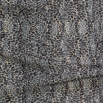 Bild på Leopard spets