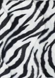Bild på Zebra velboa
