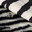 Bild på Zebra-pile