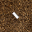 Bild på Leopard-pile