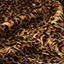 Bild på Leopard-pile