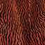 Bild på Zebra viskos