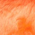 Product image for 10015_10