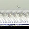 Product image for 31921_01