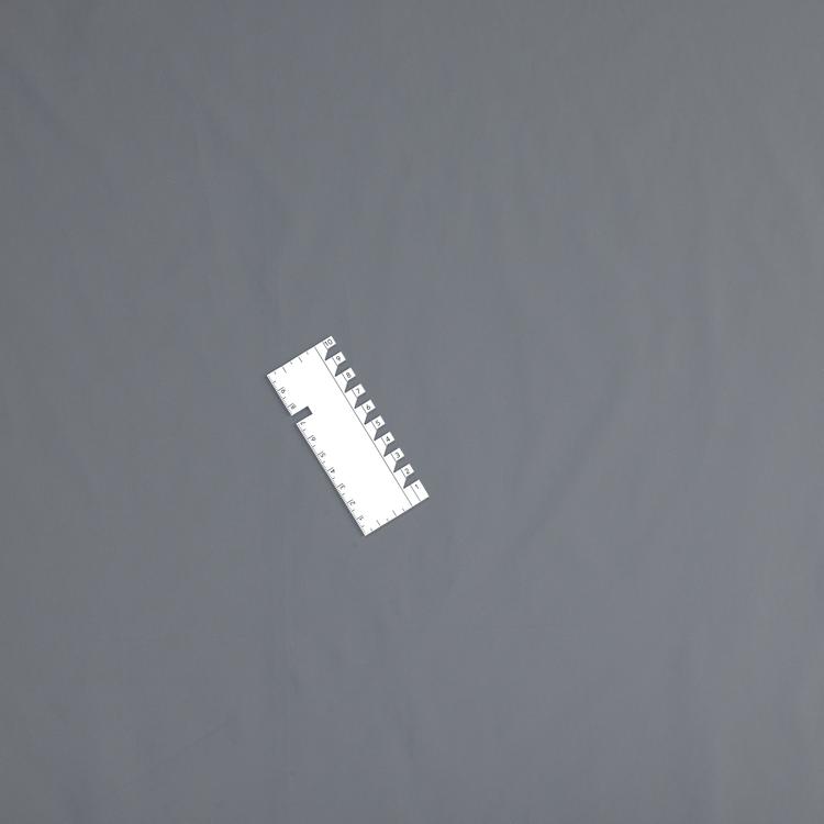 Product image for 1009352