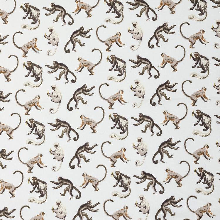 Product image for 1009773