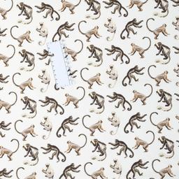 Product image for 1009773