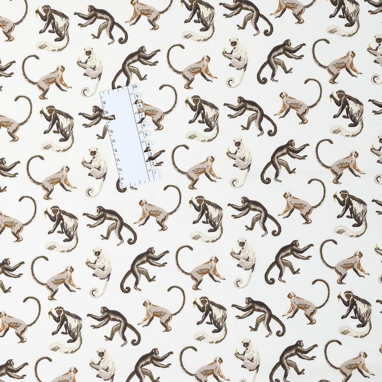 Product image for 1009773