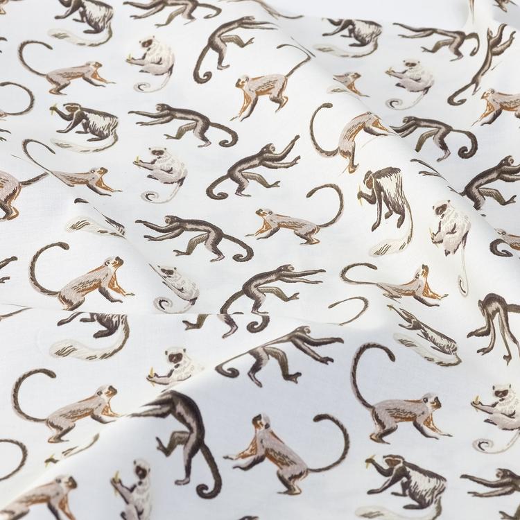 Product image for 1009773