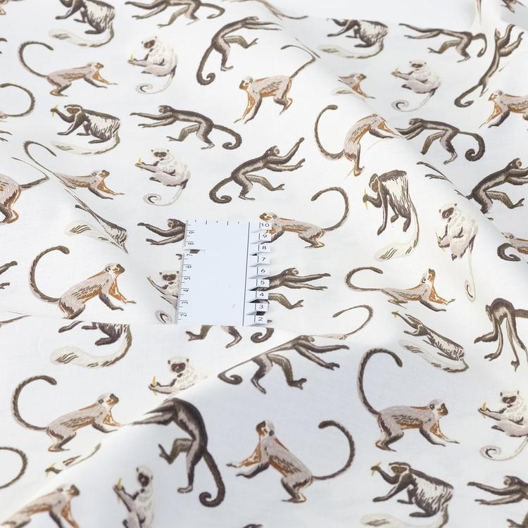 Product image for 1009773
