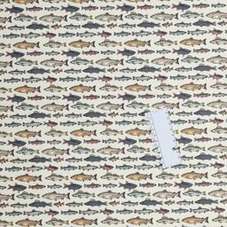 Product image for 1009774