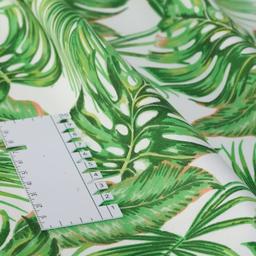 Product image for 1009777