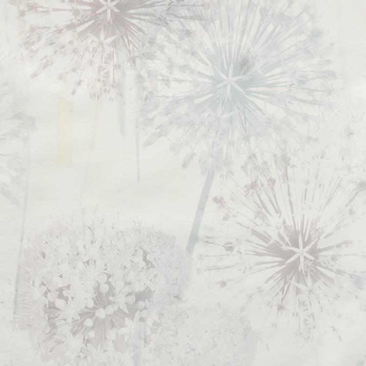 Product image for 1009834