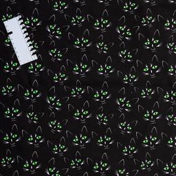 Product image for 1009892
