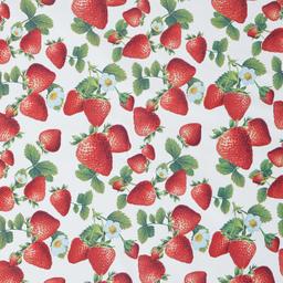 Product image for 1010015