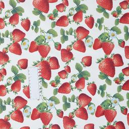 Product image for 1010015