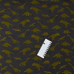 Product image for 1010042