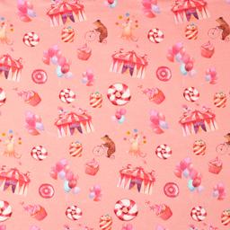 Product image for 1010051