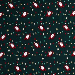 Product image for 1010079