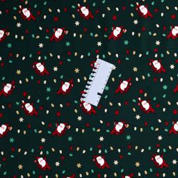 Product image for 1010079