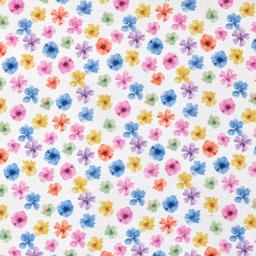 Product image for 1010085