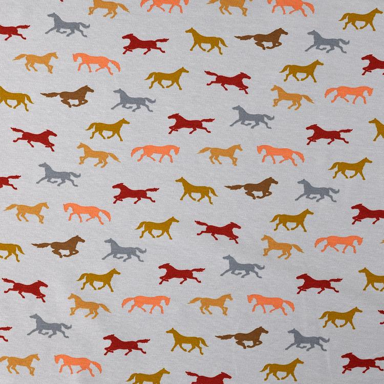 Product image for 1010111
