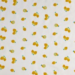 Product image for 1010116