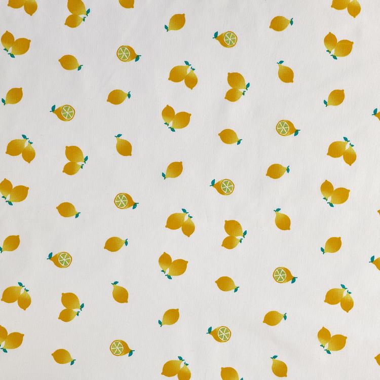 Product image for 1010116