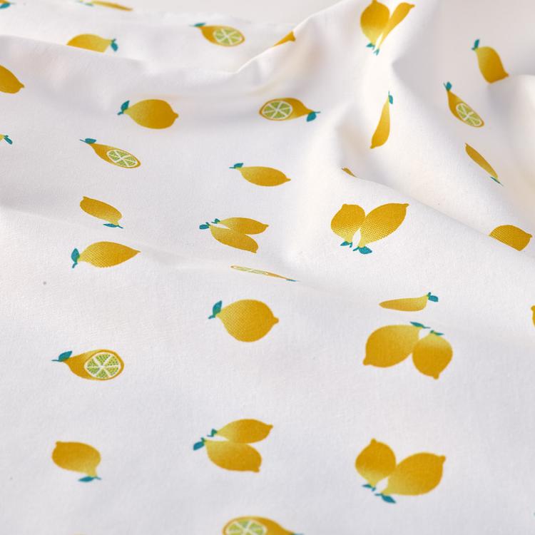 Product image for 1010116