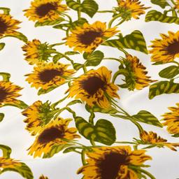 Product image for 1010130