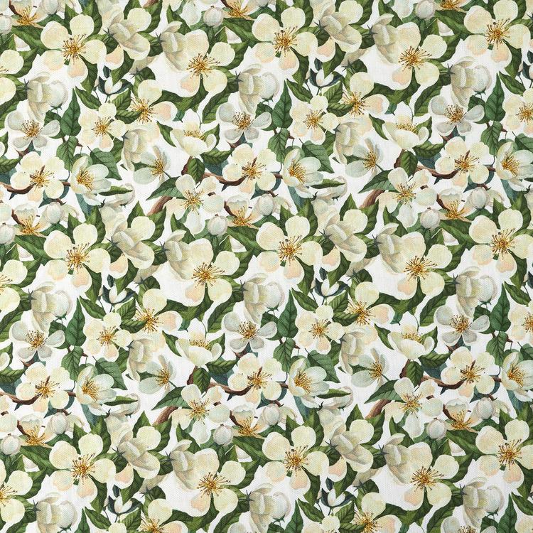 Product image for 1010158