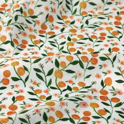 Product image for 1010172
