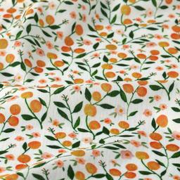 Product image for 1010172