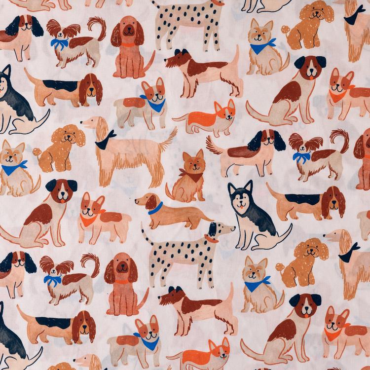 Product image for 1010189