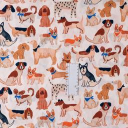 Product image for 1010189