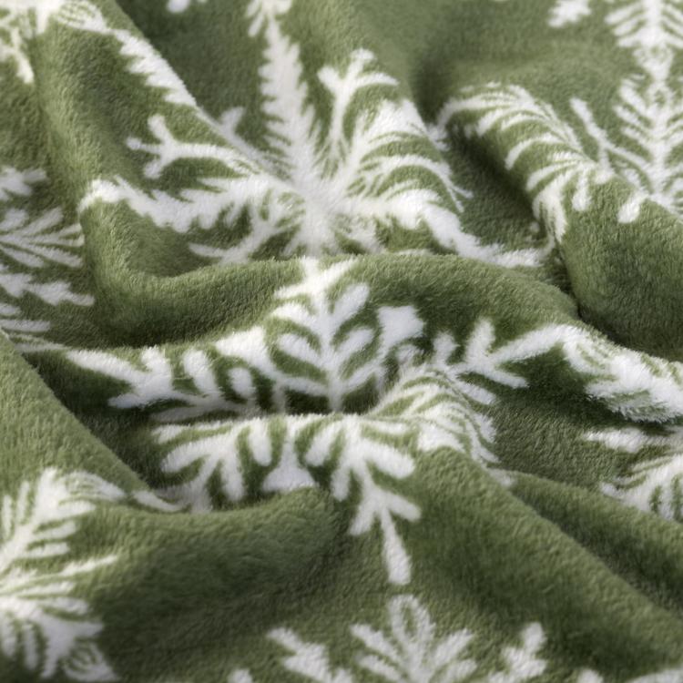 Product image for 12204