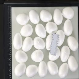 Product image for 6620187