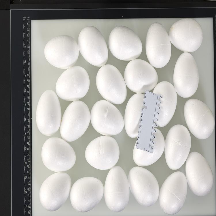 Product image for 6620187