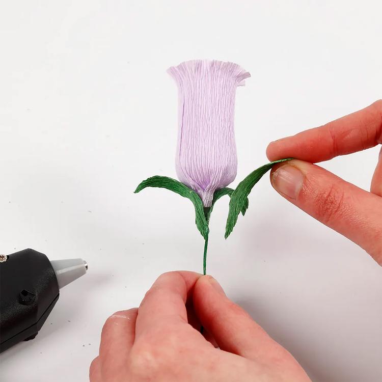 Product image for 66231