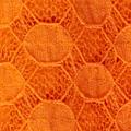 Product image for 10278_10