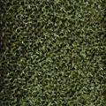 Product image for 10692_24