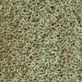 Product image for 10692_30