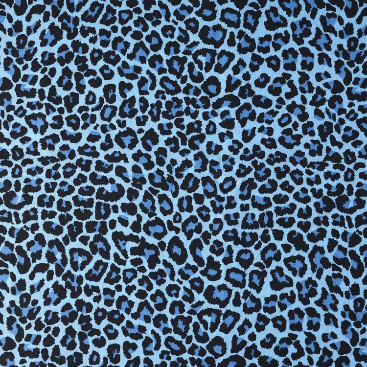 Product image for 10718_06