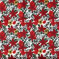 Product image for 10790_01
