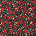 Product image for 10790_24