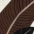 Product image for 10818_02