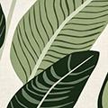 Product image for 10818_24