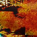 Product image for 12002_28
