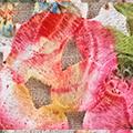 Product image for 12049_14